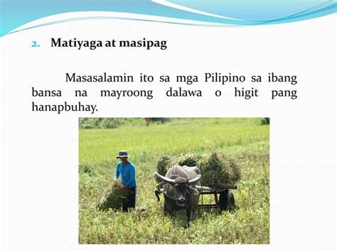 Pambansang pagkakakilanlan mga ugali .